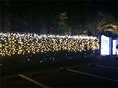 前橋　結婚式場　イルミネーション